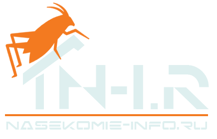 Без насекомых